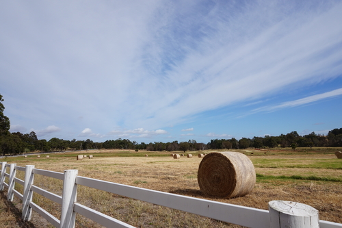 Hay,Bales,In,A,Field,,Chittering,,Western,Australia